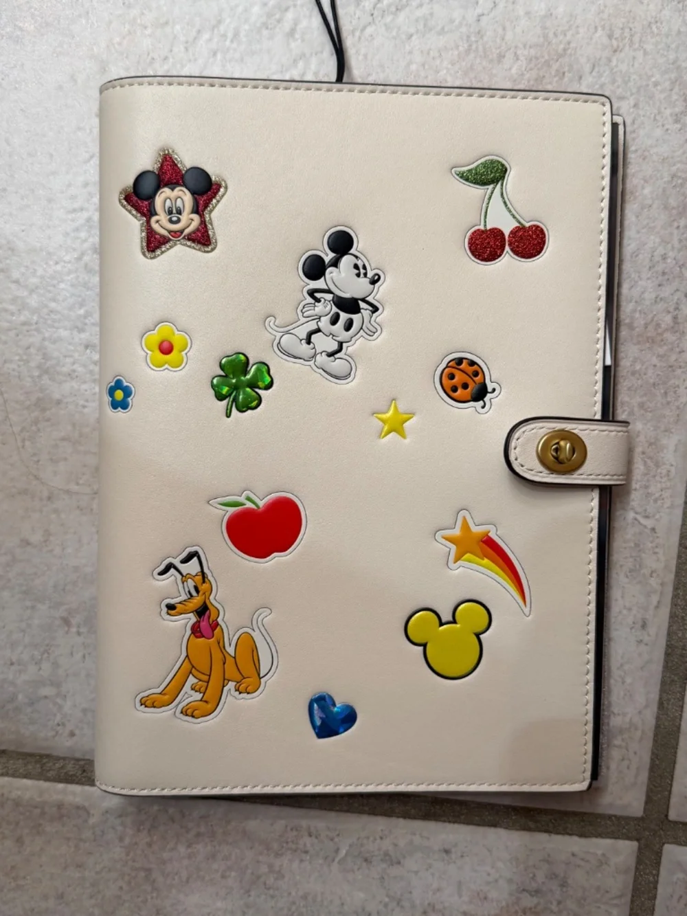 BRAND NEW COACH X DISNEY NOTEBOOK